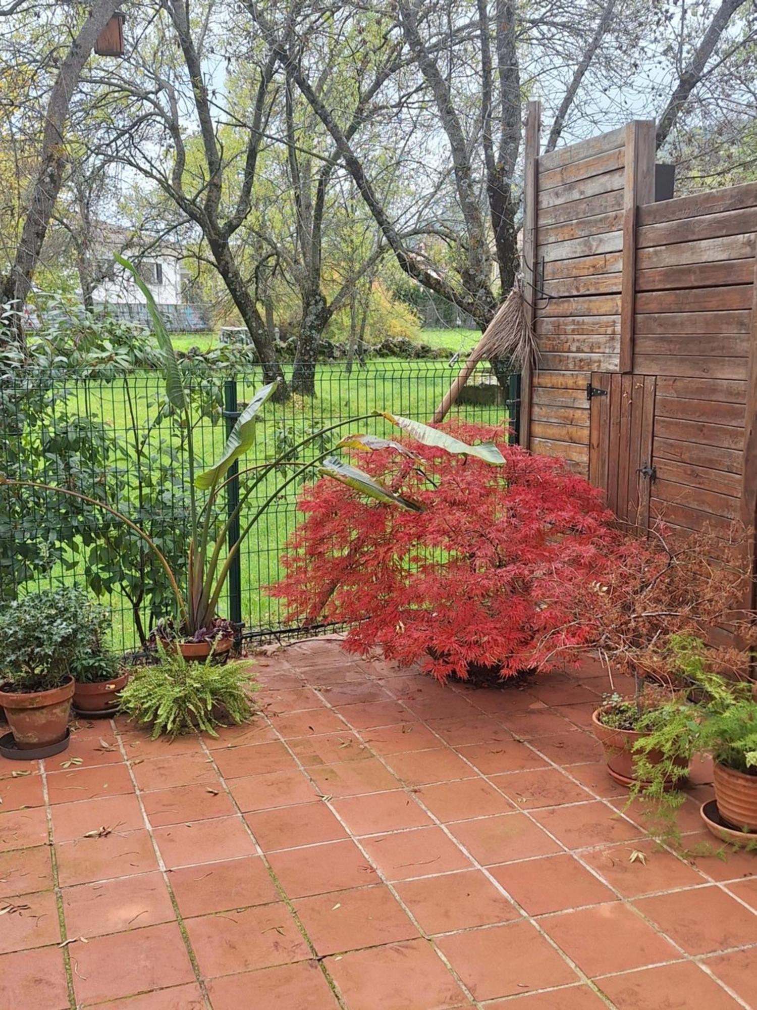 Hachazuelas7 Appartement Moralzarzal